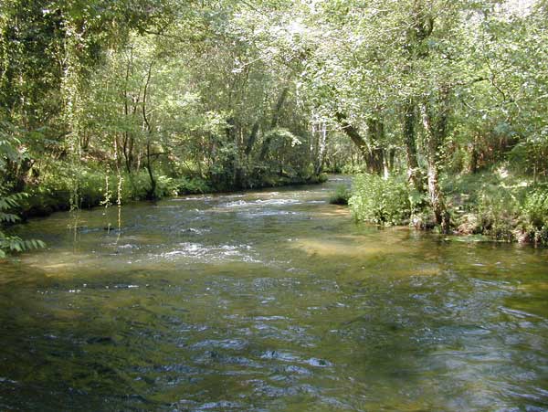 Zonas de pesca Zonas de pesca