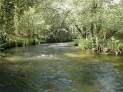 Zonas de pesca