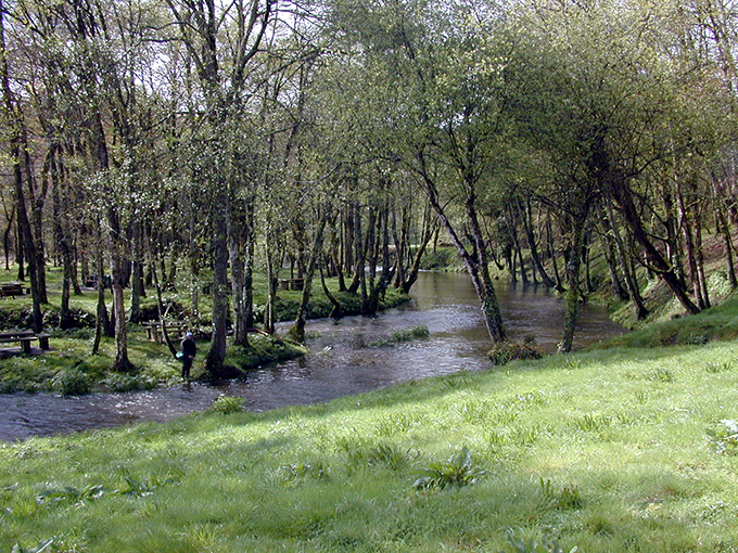 Área recrestiva y playa fluvial de Baltar Área recrestiva y playa fluvial de Baltar