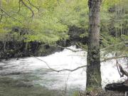 El río Rodil en su parte alta al comienzo del coto de Ribeira de Piquín. 
