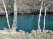 Aguas de truchas, reos y salmones