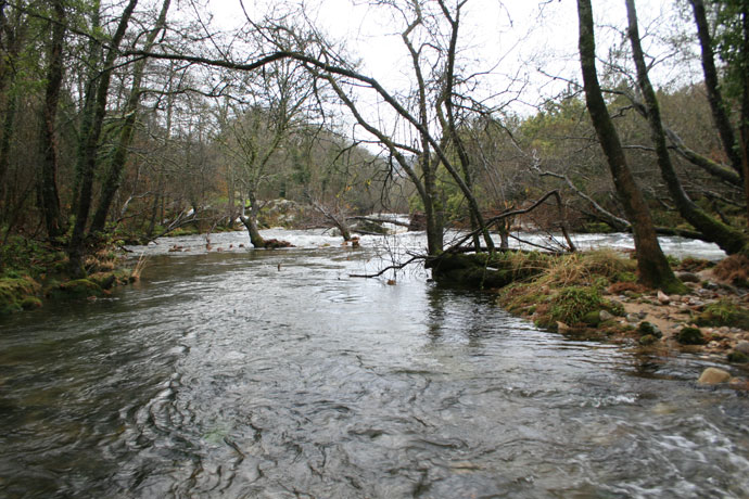 Desembocadura del Alén Desembocadura del Alén