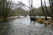 Desembocadura del Alén