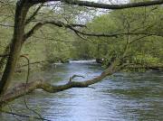 Río Támoga
