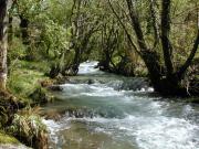 Afluente del Oitaven cerca de o Muiño da Tereixa