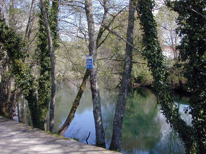 Rio Verdugo a su paso por Ponte Caldelas Rio Verdugo a su paso por Ponte Caldelas