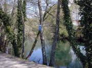 Rio Verdugo a su paso por Ponte Caldelas
