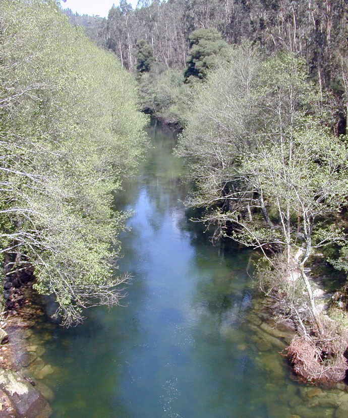 Río Oitaven