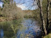 Río Verdugo