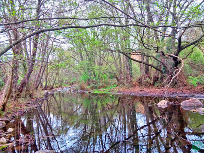 Río Guadalix