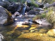 Pozas en el cauce alto