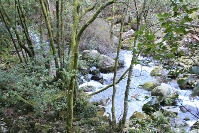 Río Pedras