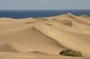 Maspalomas