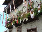 La Orotava