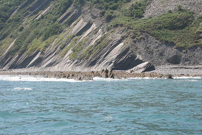 Flysch intermareal Deva - Zumaia Flysch intermareal Deva - Zumaia