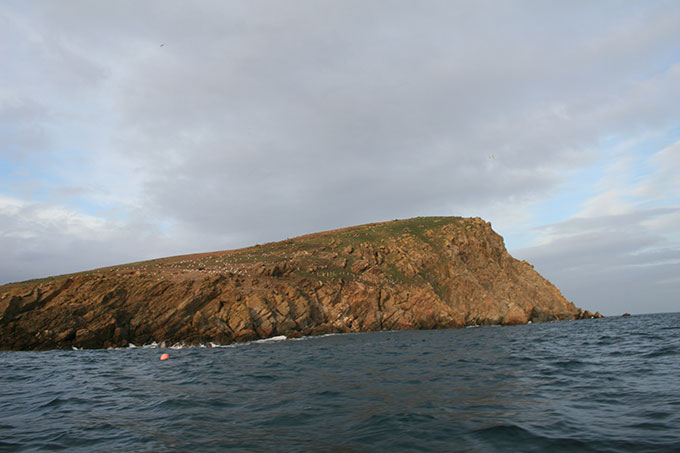 Isla Coelleira Isla Coelleira
