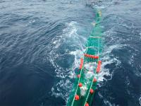 Científicos del IEO obtienen las claves para mejorar la selectividad pesquera en el caladero Cantábrico-noroeste
