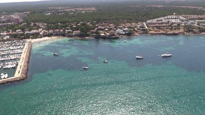 El CNA apoya al IMEDEA en la investigación de la vida submarina en la Bahía de Palma