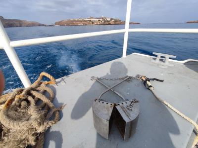 El IEO avanza en la caracterización de los fondos marinos de las Islas Chafarinas El IEO avanza en la caracterización de los fondos marinos de las Islas Chafarinas