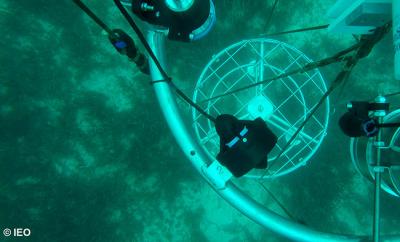 El IEO desarrolla un vehículo submarino capaz de desplegar y recuperar instrumental oceanográfico en los fondos El IEO desarrolla un vehículo submarino capaz de desplegar y recuperar instrumental oceanográfico en los fondos