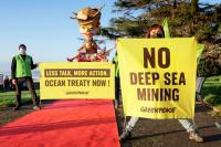 Greenpeace califica de 'impensable' la restricción a la participación de la sociedad civil en las negociaciones del Tratado Global de los Océanos