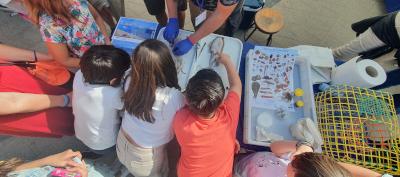 IEO celebra el Día de los Océanos con diferentes actividades en varios de sus centros IEO celebra el Día de los Océanos con diferentes actividades en varios de sus centros