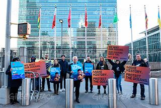 Los Gobiernos fracasan en el acuerdo para un Tratado Global de los Océanos Los Gobiernos fracasan en el acuerdo para un Tratado Global de los Océanos