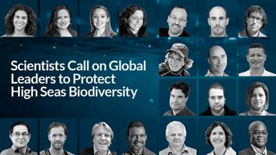 Marinas de España se adhiere a la carta que reclama a la ONU la protección de la biodiversidad en aguas internacionales Marinas de España se adhiere a la carta que reclama a la ONU la protección de la biodiversidad en aguas internacionales