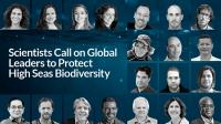 Marinas de España se adhiere a la carta que reclama a la ONU la protección de la biodiversidad en aguas internacionales