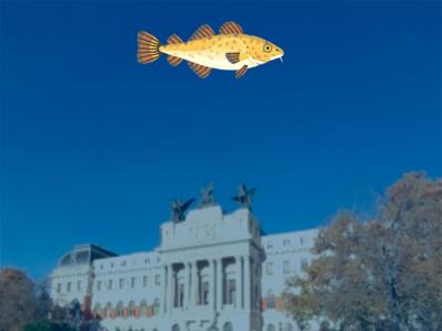Oceana hace flotar un bacalao virtual sobre el Ministerio de Agricultura, Pesca y Alimentación en protesta por la sobrepesca 