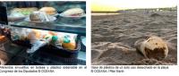 Oceana reclama al Congreso de los Diputados máxima ambición para reducir los plásticos que llegan al mar 