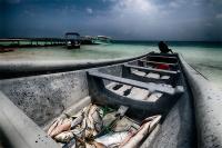 Un nuevo proyecto buscará fortalecer y mejorar la gestión de los recursos pesqueros en Iberoamérica