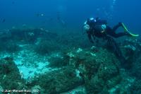 El IEO pone en marcha un programa de seguimiento del estado de conservación de las praderas marinas de la Comunidad Valenciana