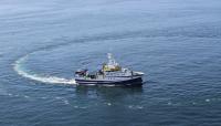 El Instituto Español de Oceanografía estudia el reclutamiento del boquerón y la sardina en aguas del golfo de Cádiz