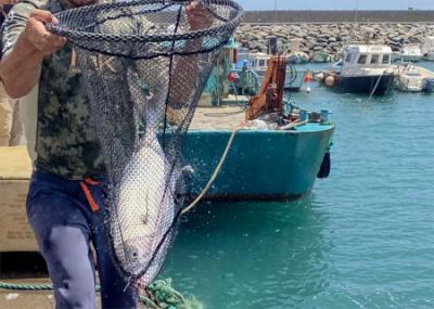 Cuando la pesca artesanal contribuye a la ciencia