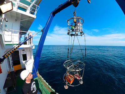 El vehículo submarino LanderPick podrá operar a profundidades de hasta 3000 metros El vehículo submarino LanderPick podrá operar a profundidades de hasta 3000 metros