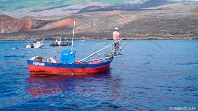 Alcances obtenidos en Reserva Marinas de España entre el sector de pesca artesanal y el buceo recreativo. Marco PESCARES. Alcances obtenidos en Reserva Marinas de España entre el sector de pesca artesanal y el buceo recreativo. Marco PESCARES.