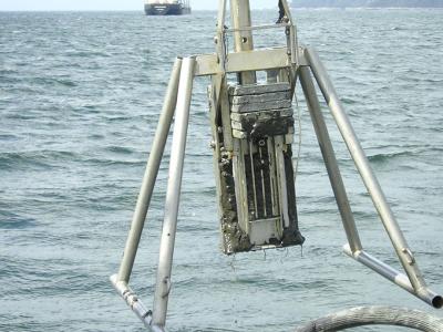 Investigadoras del C. O. de Vigo presentan un estudio que analiza más de cincuenta contaminantes en la ría de Vigo Investigadoras del C. O. de Vigo presentan un estudio que analiza más de cincuenta contaminantes en la ría de Vigo
