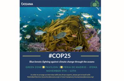 Oceana reclama un plan de acción para la protección de los ‘bosques azules’ en la COP25 Oceana reclama un plan de acción para la protección de los ‘bosques azules’ en la COP25