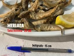 Oceana y Fundación ENT ven insuficientes las medidas del Gobierno para acabar con la grave sobreexplotación de la merluza Oceana y Fundación ENT ven insuficientes las medidas del Gobierno para acabar con la grave sobreexplotación de la merluza