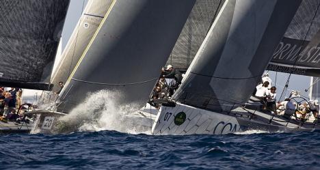 14534_2_MAXI10cb_3891