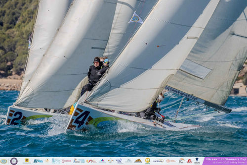 altea667