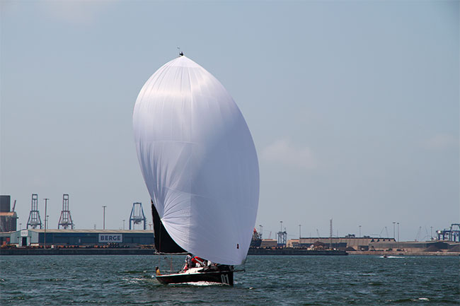 foto-alpega