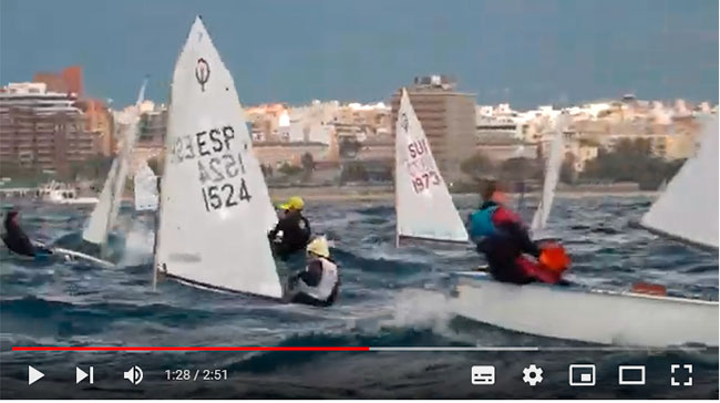 palmavi04