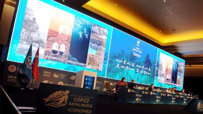 Los firmantes del Convenio de Barcelona acuerdan proponer la declaración del Mediterráneo como zona SECA Los firmantes del Convenio de Barcelona acuerdan proponer la declaración del Mediterráneo como zona SECA