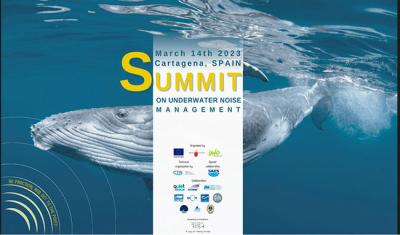 Summit on underwater noise management