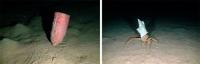 DÍA MUNDIAL DE LOS OCÉANOS. Oceana filma plásticos en las profundidades marinas de toda Europa