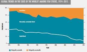 La ONU alerta de que el Mediterráneo es el mar con más sobrepesca del mundo La ONU alerta de que el Mediterráneo es el mar con más sobrepesca del mundo