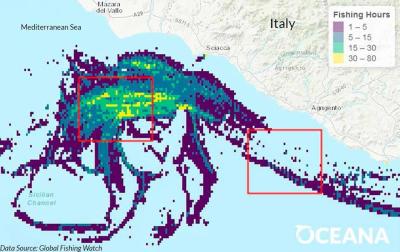 Oceana revela docenas de casos de pesca ilegal en áreas protegidas del Mediterráneo Oceana revela docenas de casos de pesca ilegal en áreas protegidas del Mediterráneo