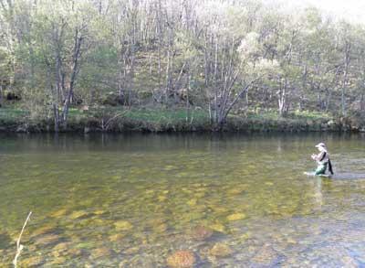 Galicia. Malos augurios y pesimismo en la apertura de la temporada de pesca continental